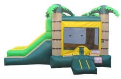 IMG 4169 1767640812 Palm House Combo