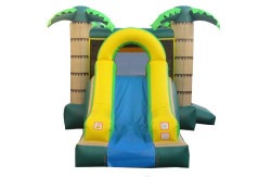 IMG 4170 1767640812 Palm House Combo