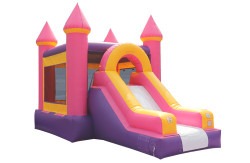 IMG 4173 1767641065 Pink 2 Combo W/Slide