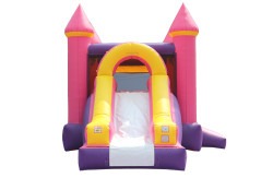 IMG 4174 1767641065 Pink 2 Combo W/Slide